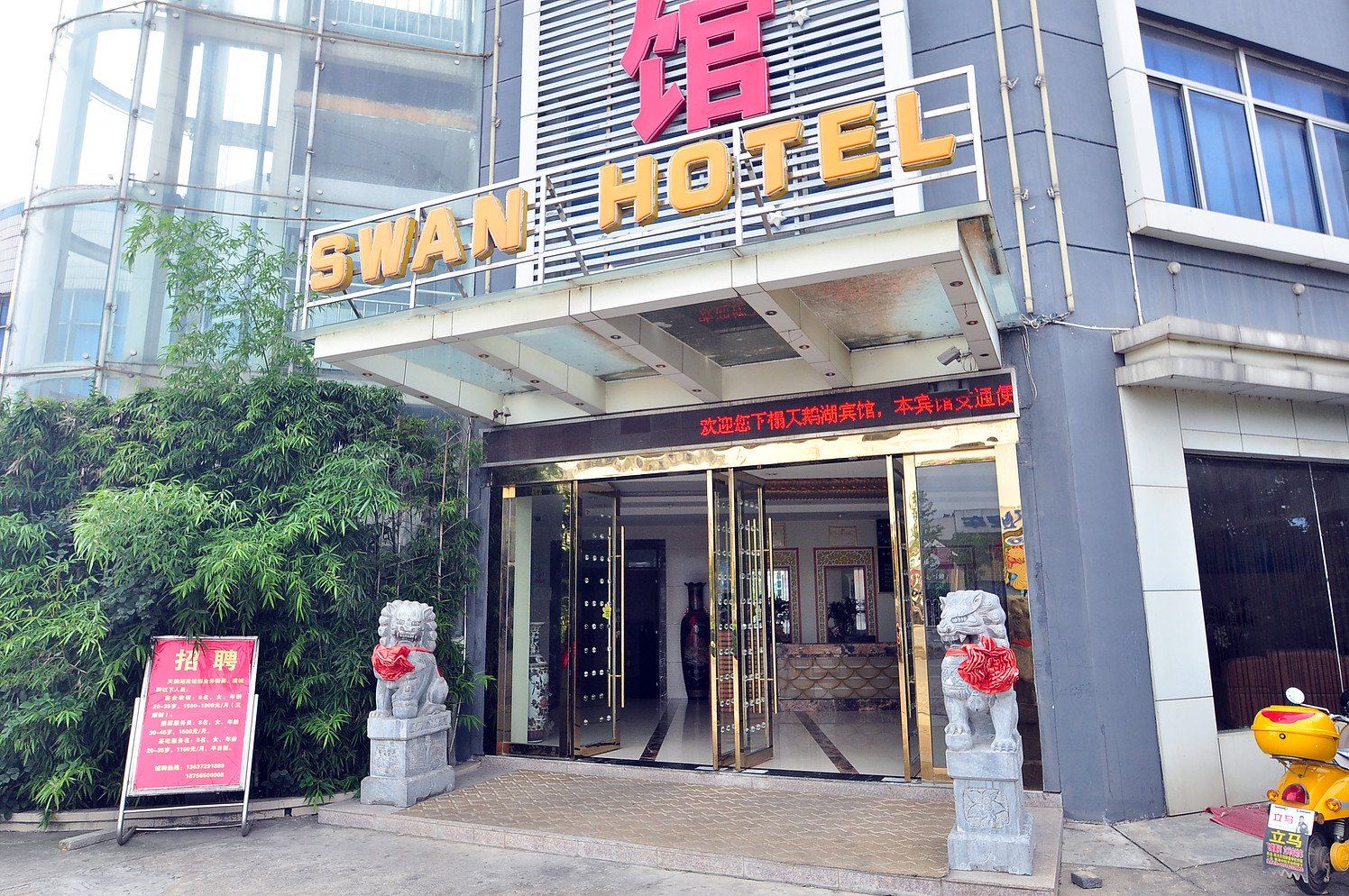 外观