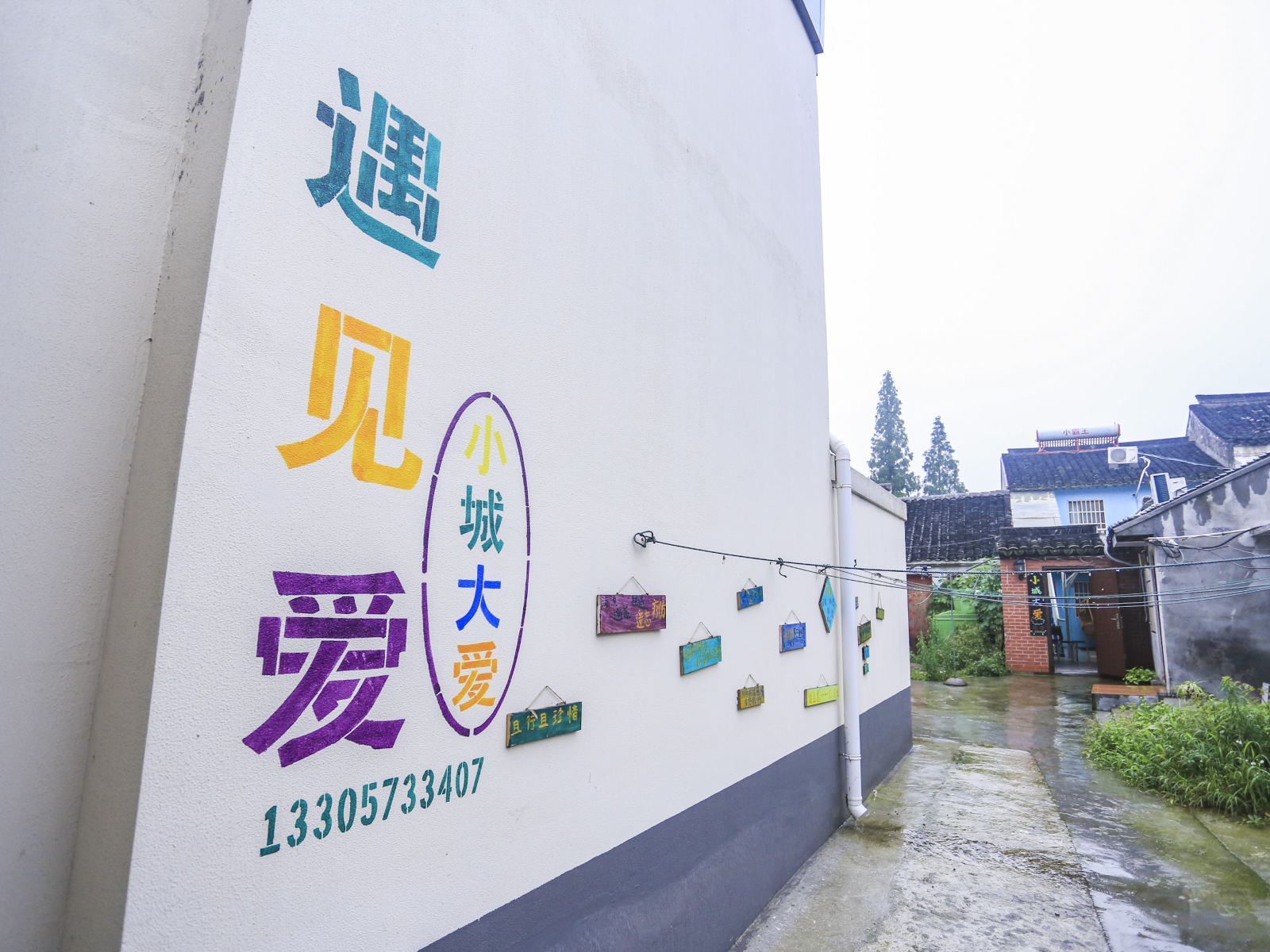 外观