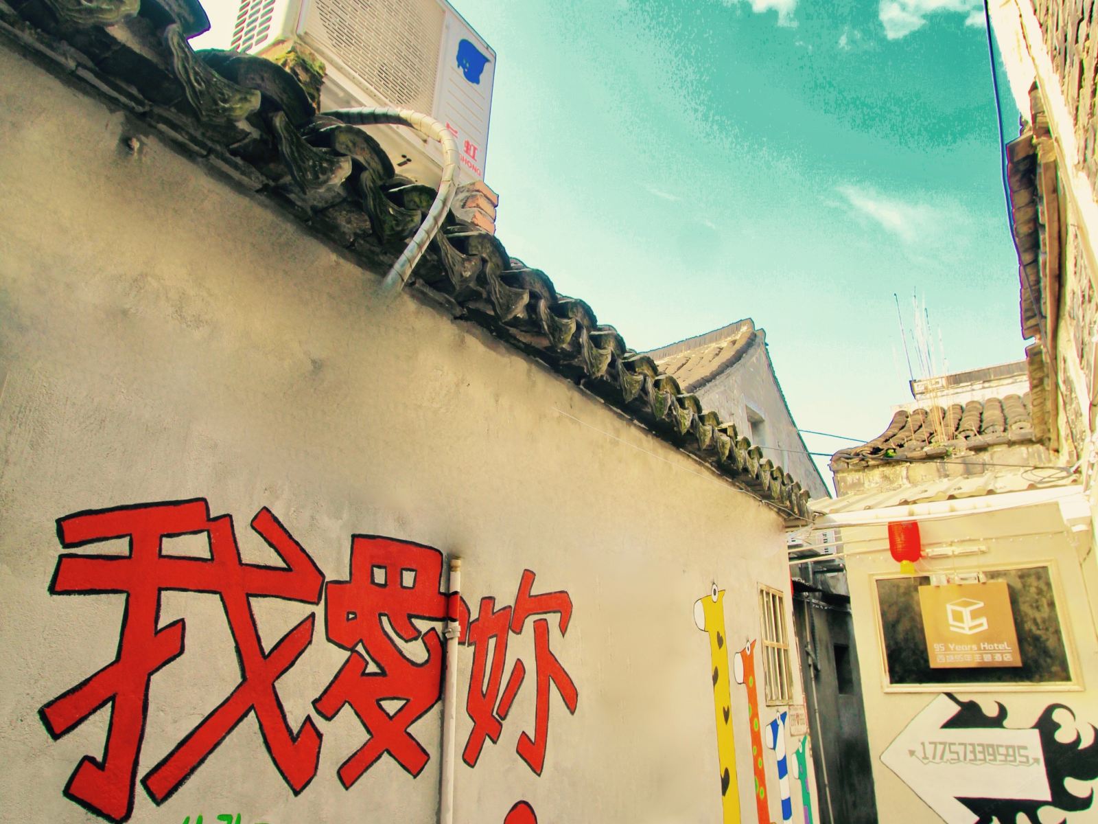 外观