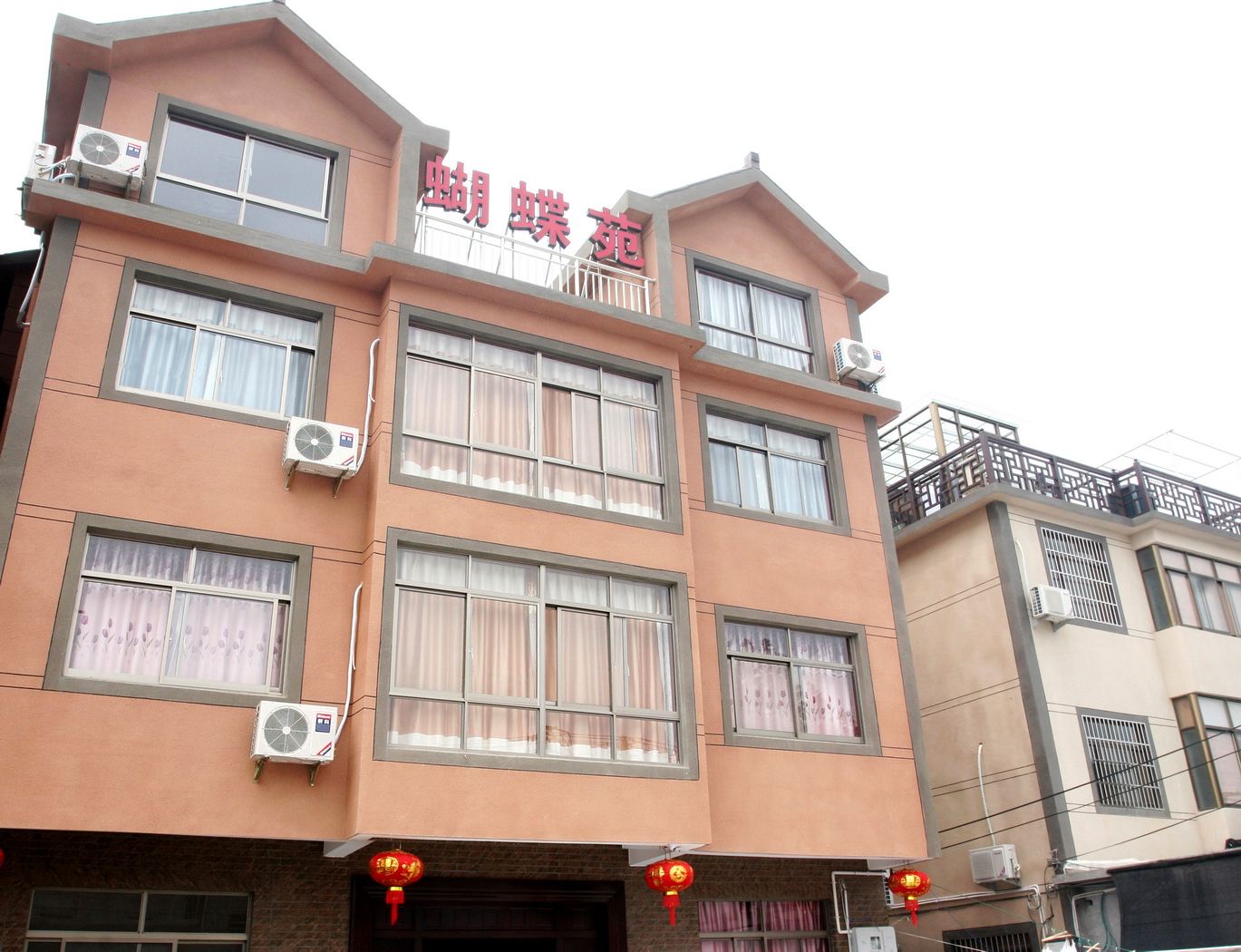 外观