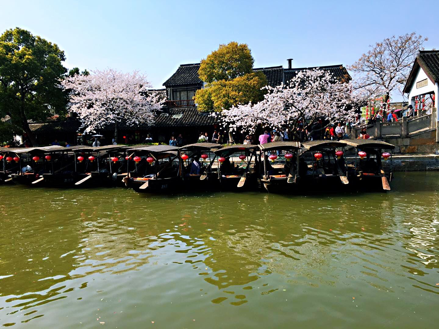 西塘梵丽民宿