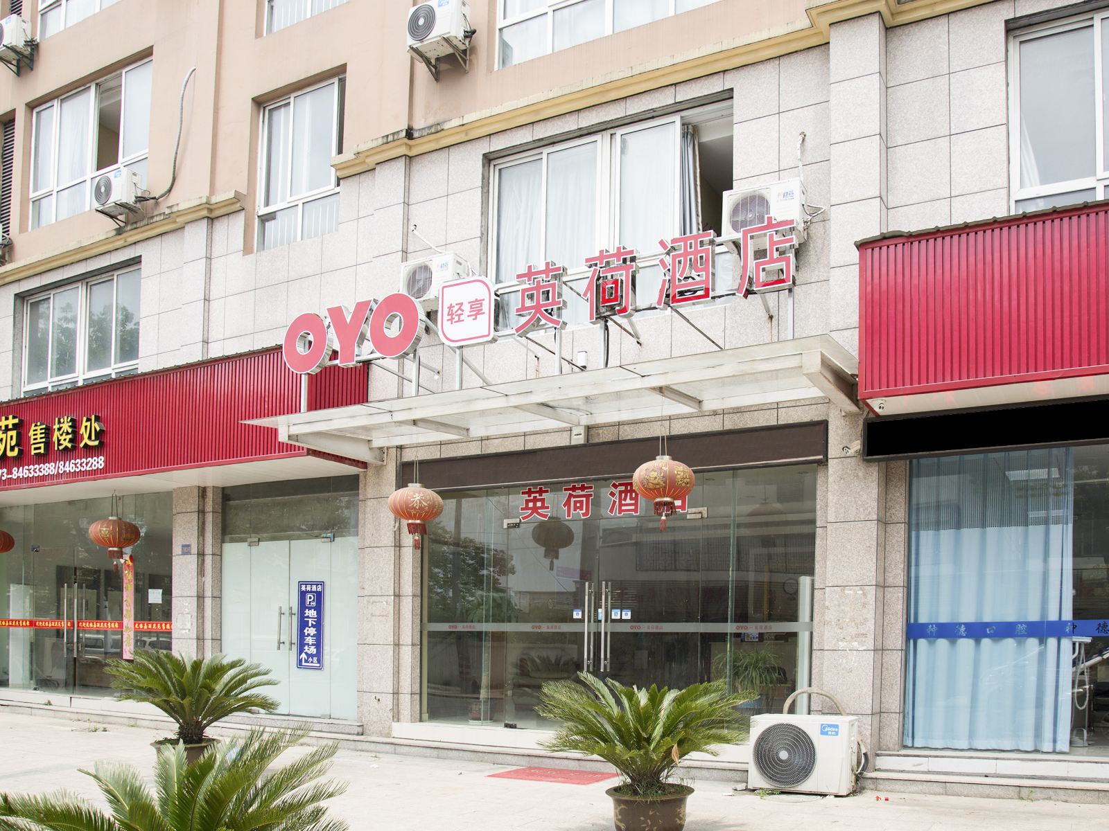 外观