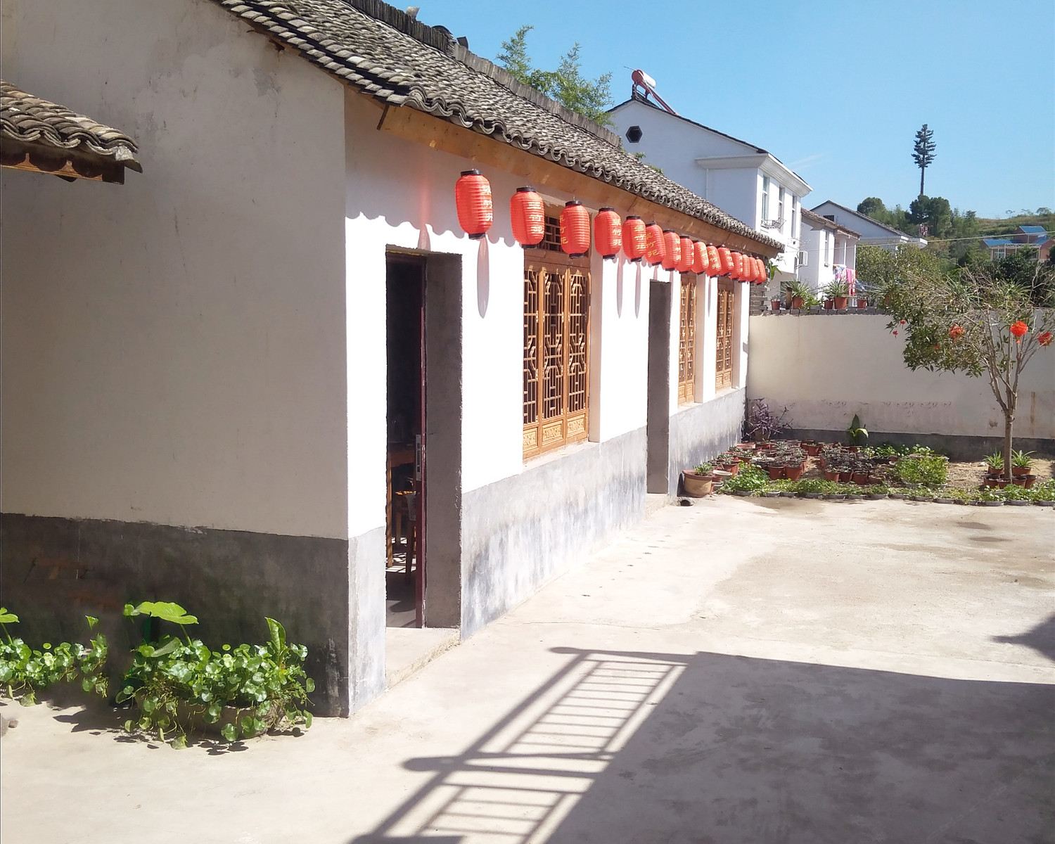 建德翠竹苑餐馆农家乐