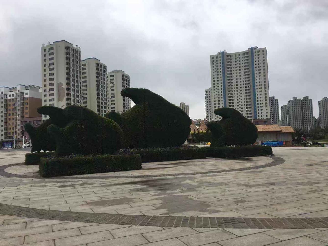 其他