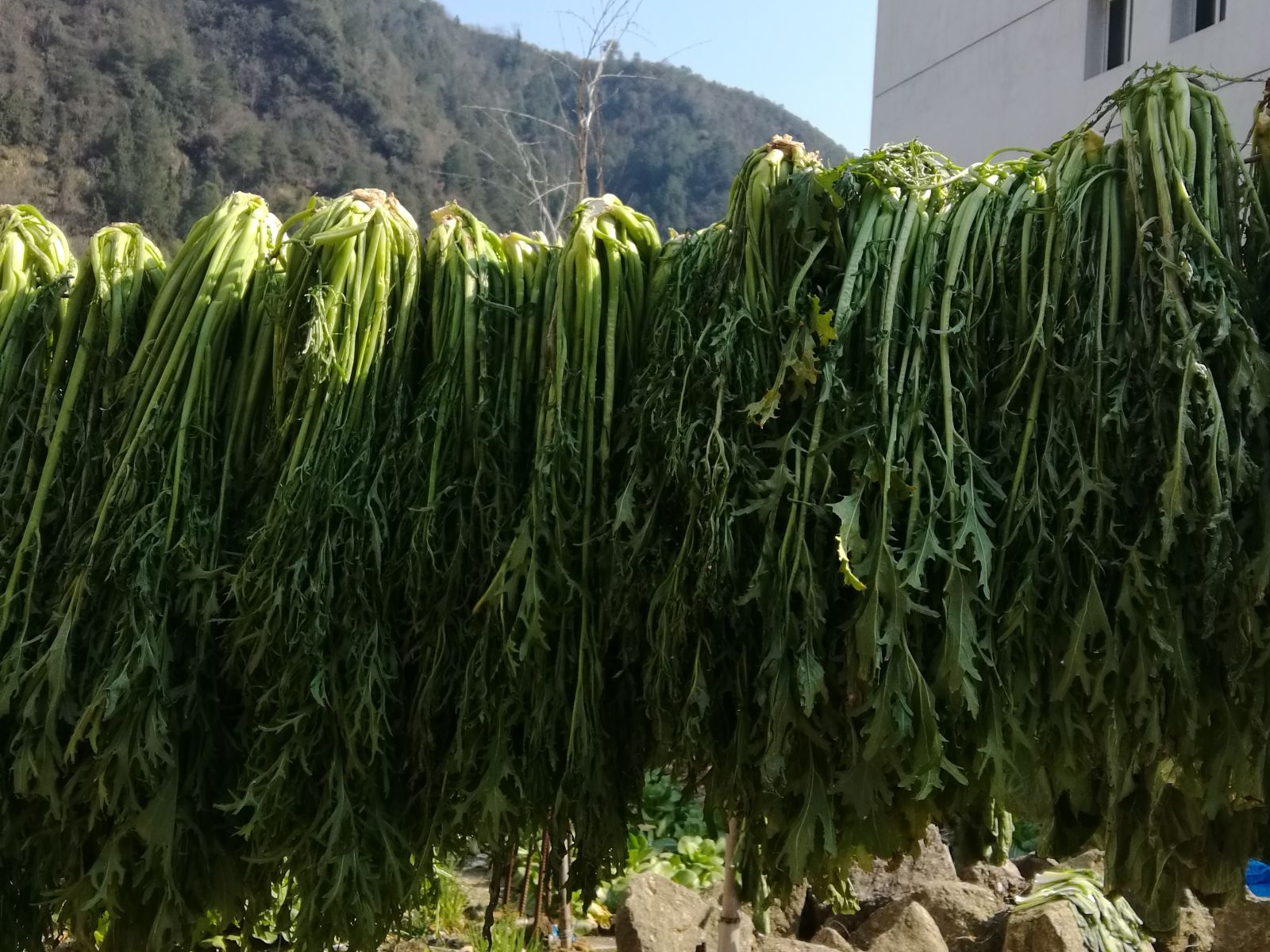 三清山舒心农庄