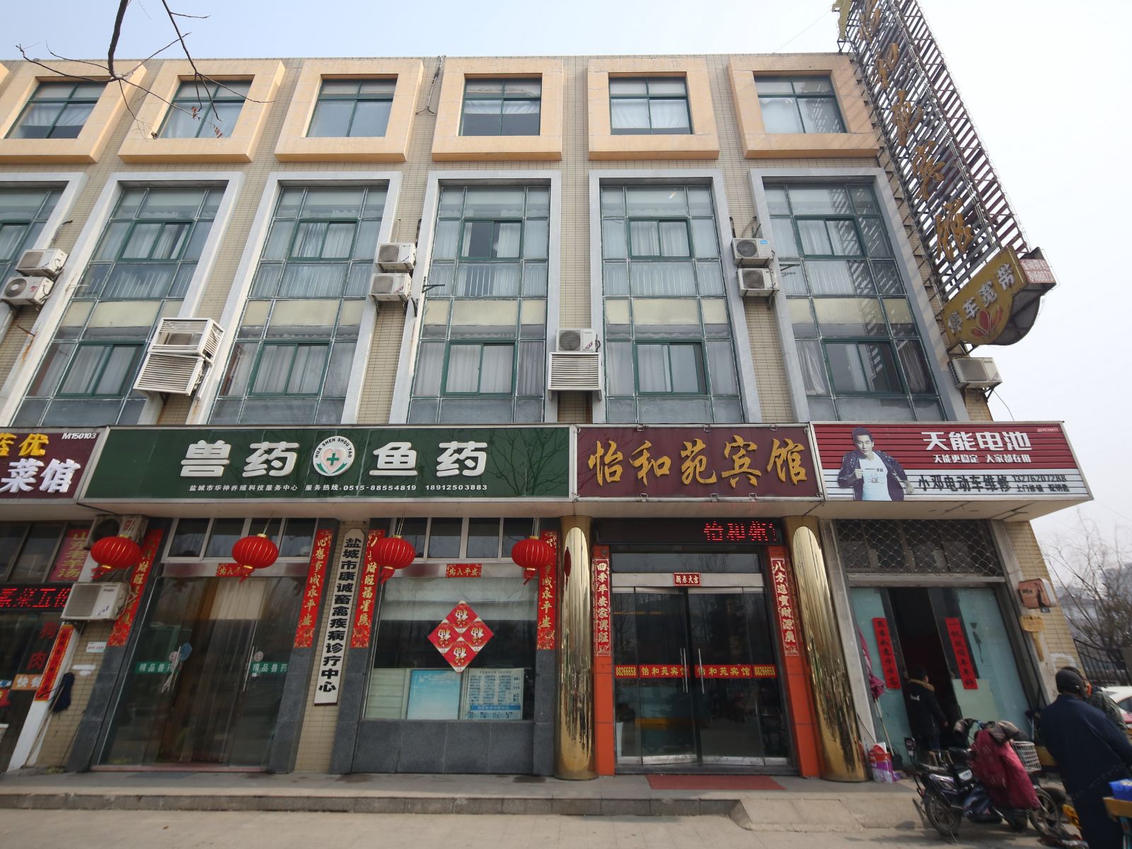 外观