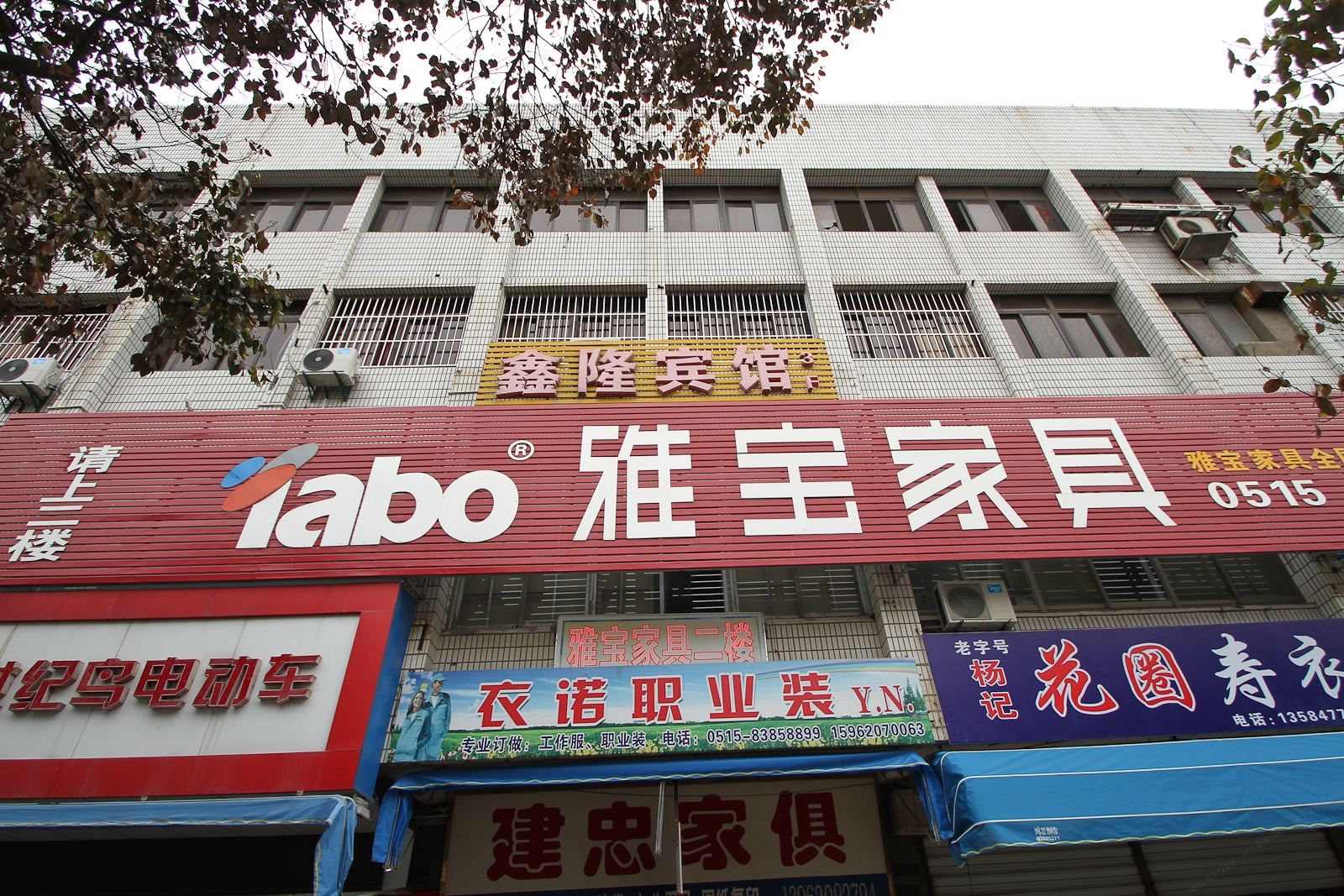 外观