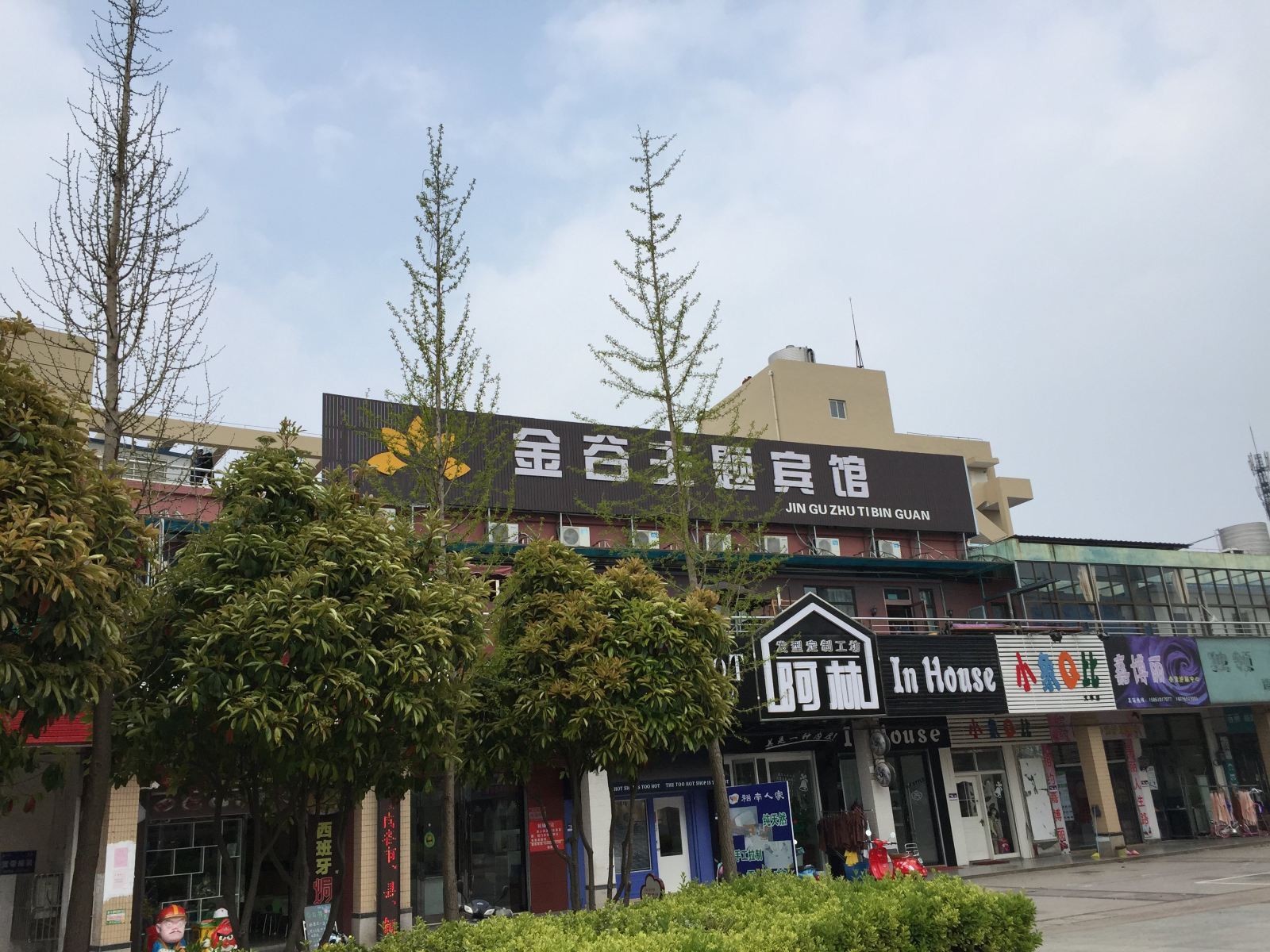 外观