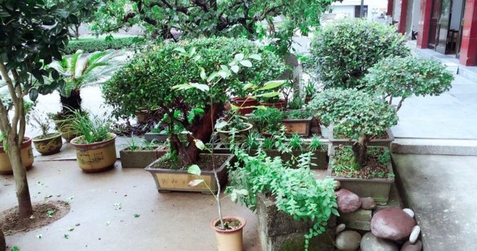 宁海碧水畔客栈
