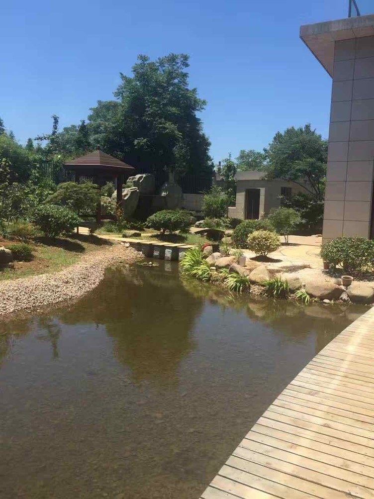 宁海古树苑客栈