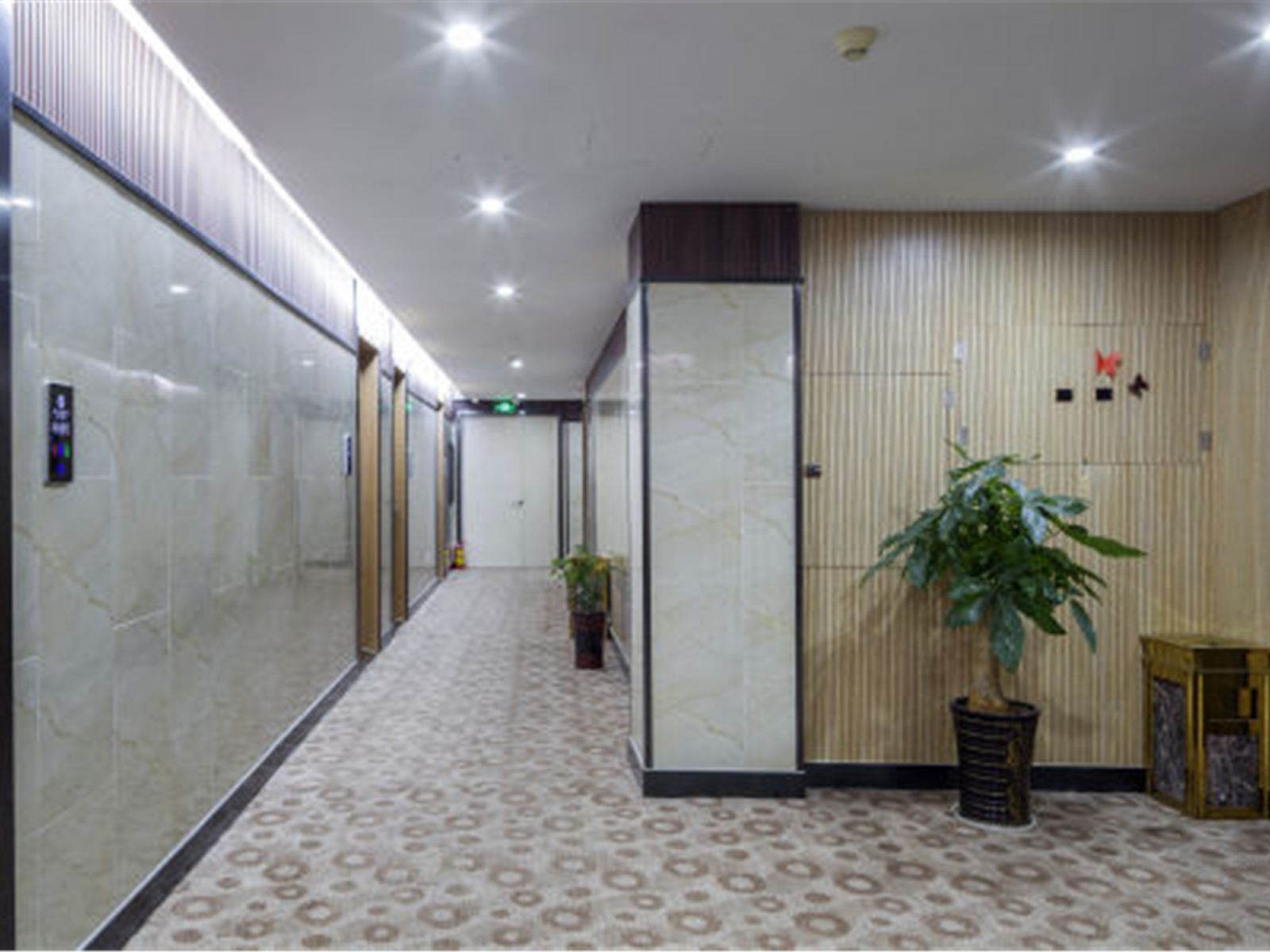 公共区域