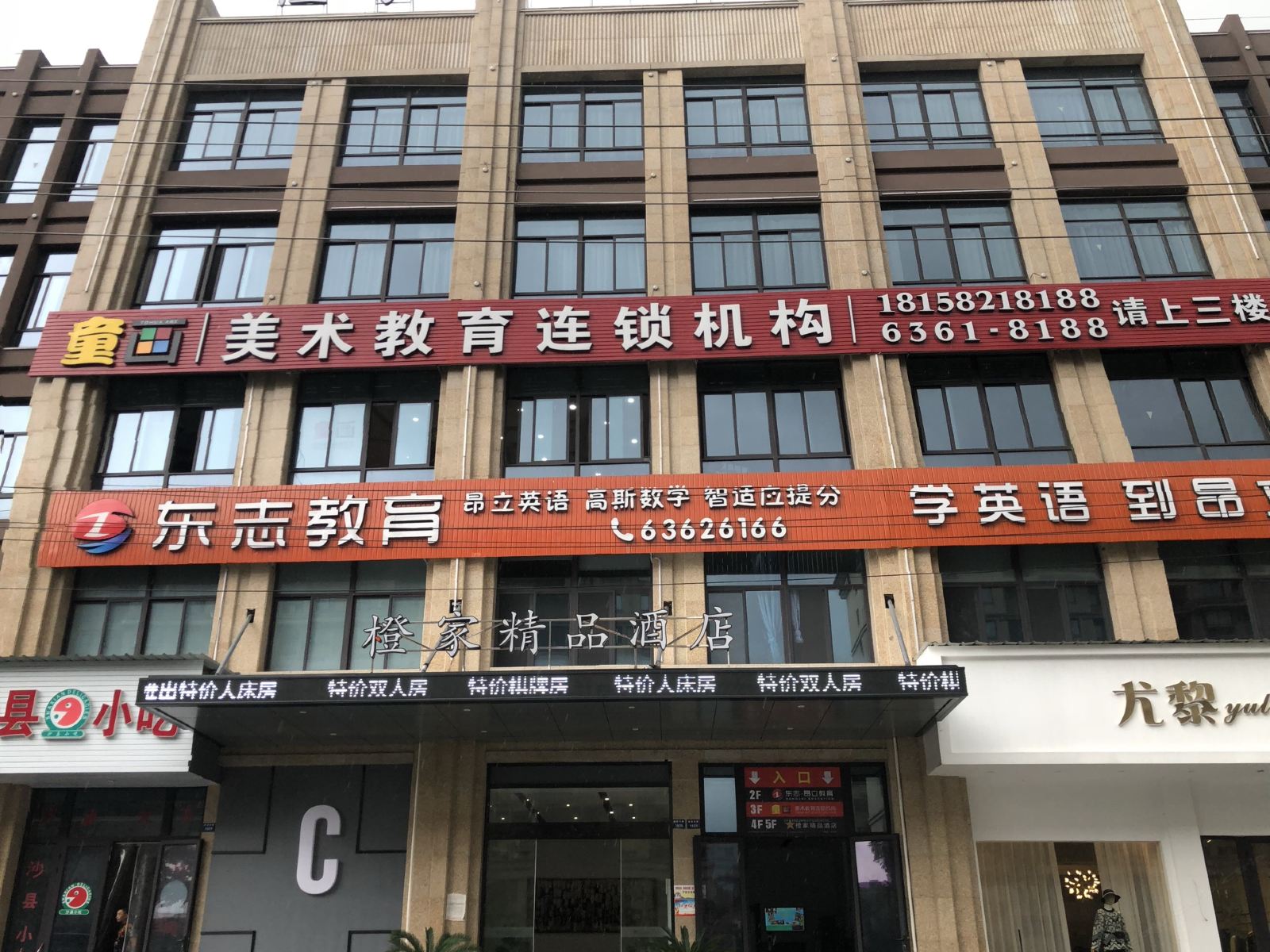 外观