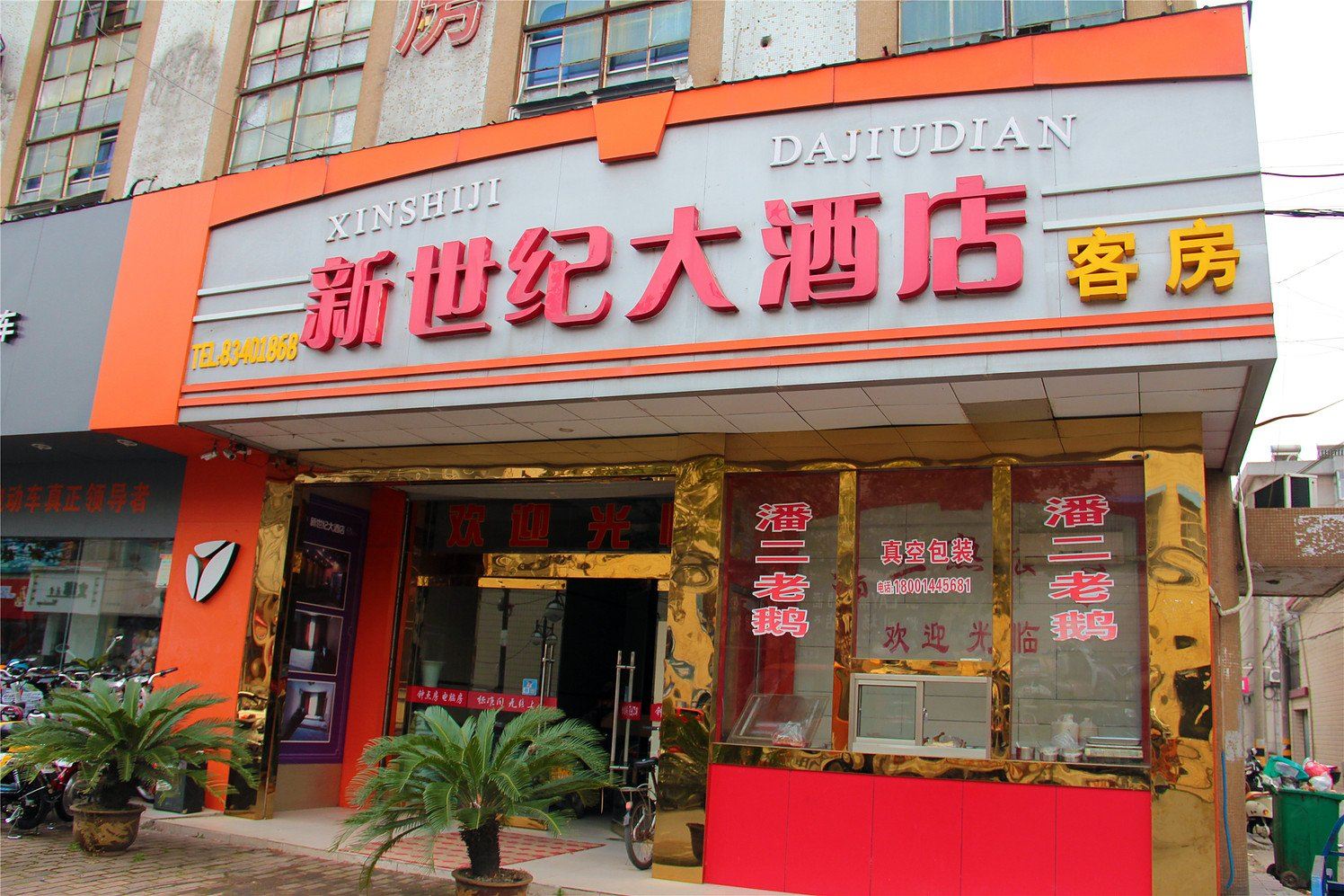 外观