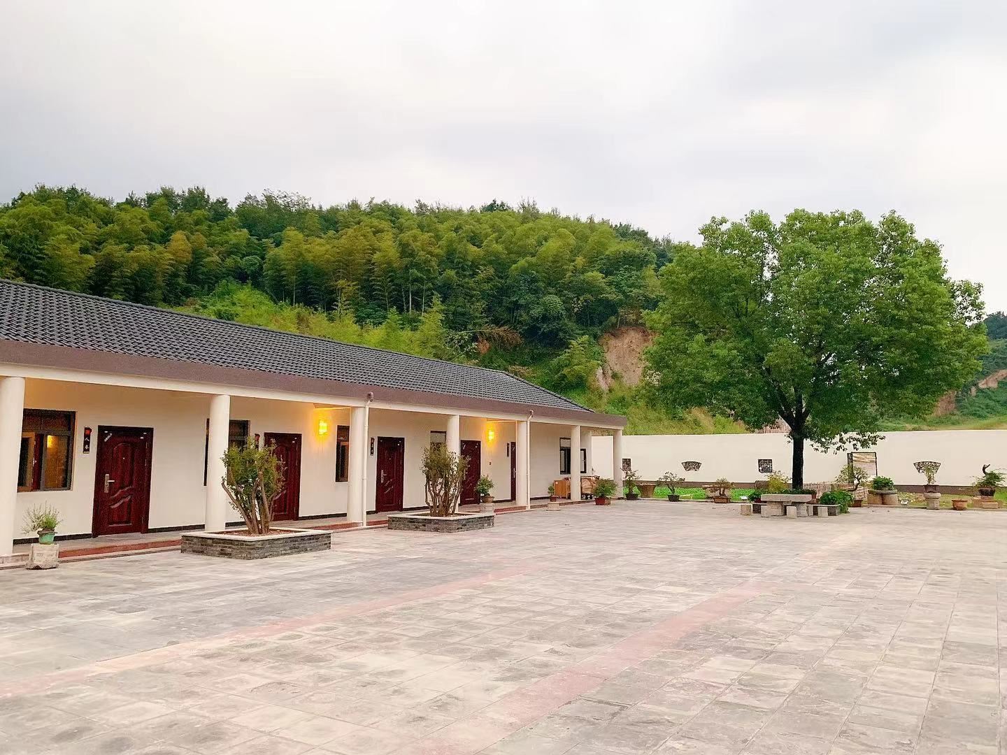 溧阳星斗中草药种植园