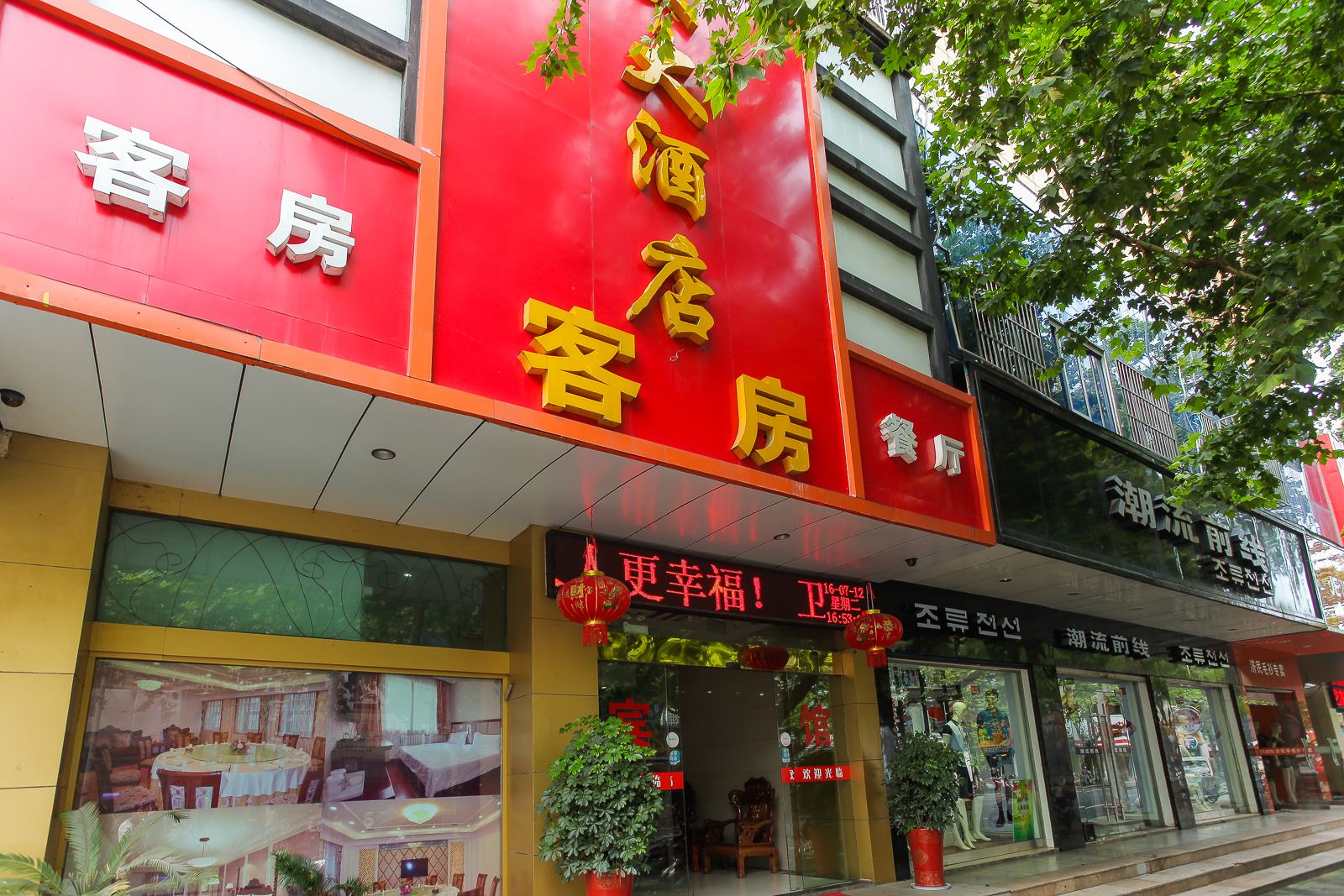 外观