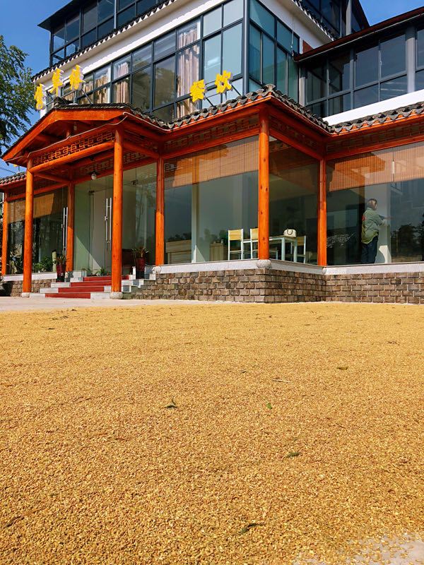 南山竹海隽箤缘酒店