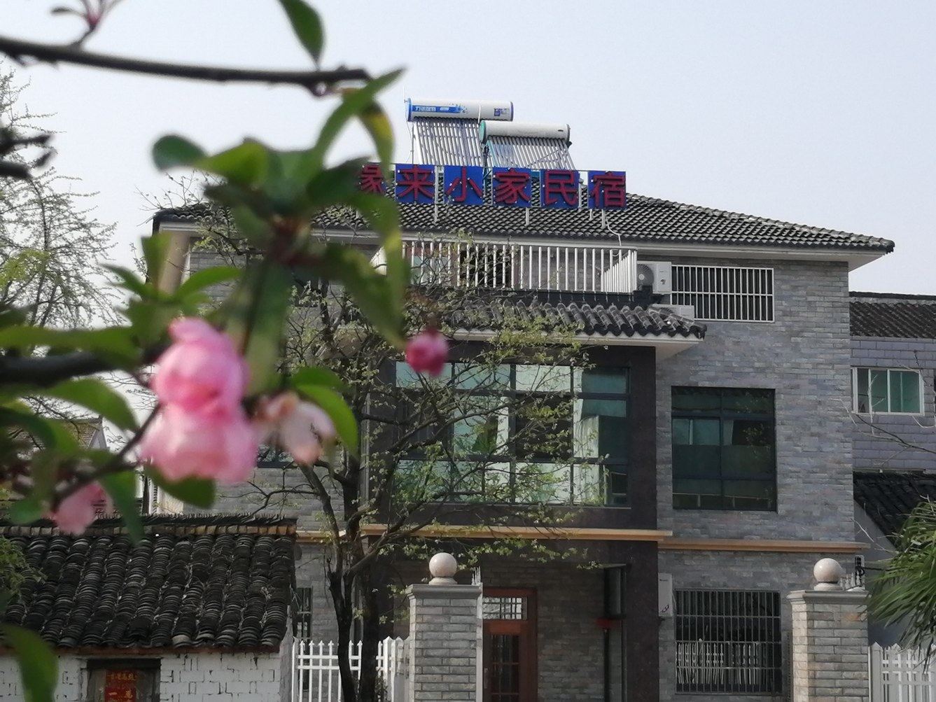 其他
