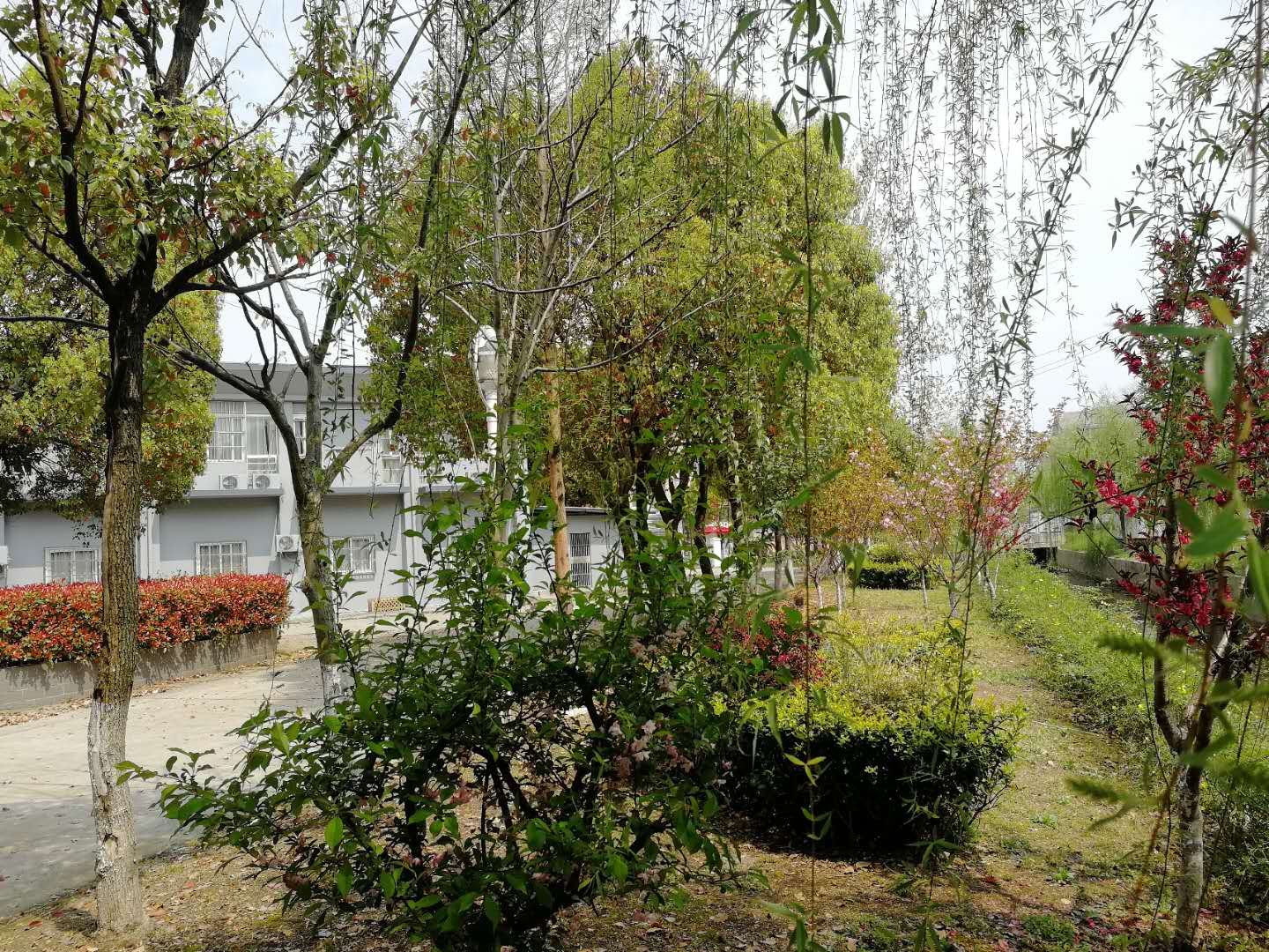 公共区域