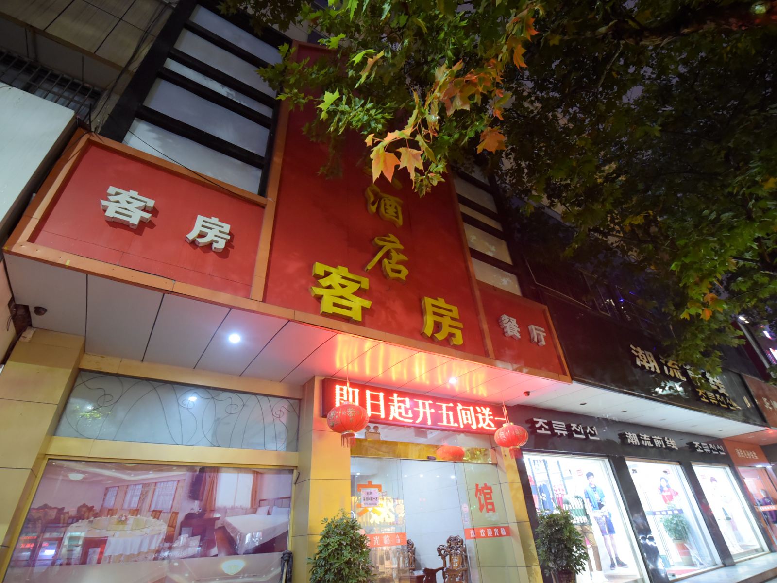 外观