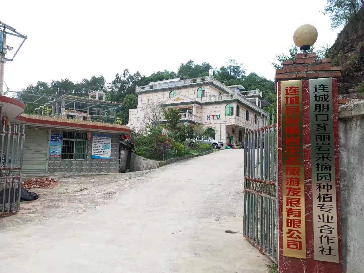 连城冠丽岩森林人家