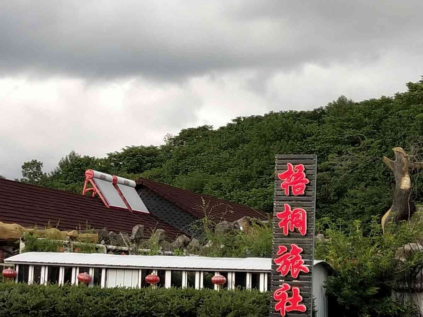 其他