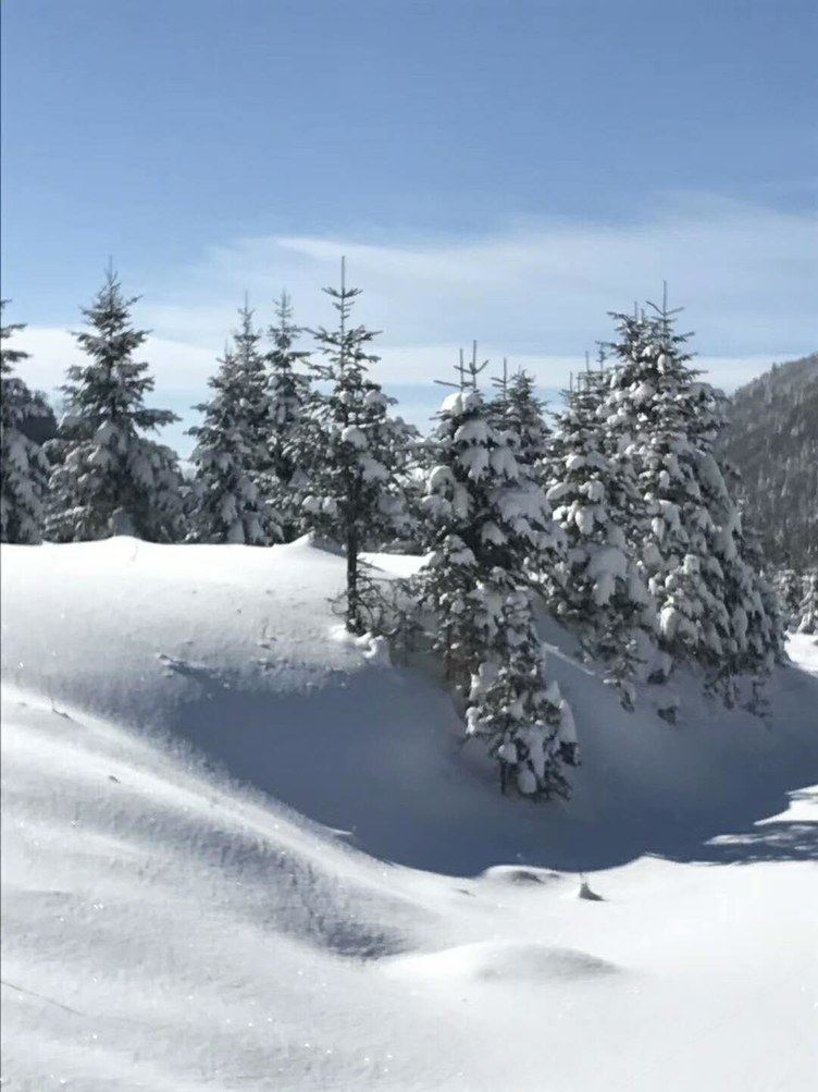 哈尔滨雪谷小达农家乐