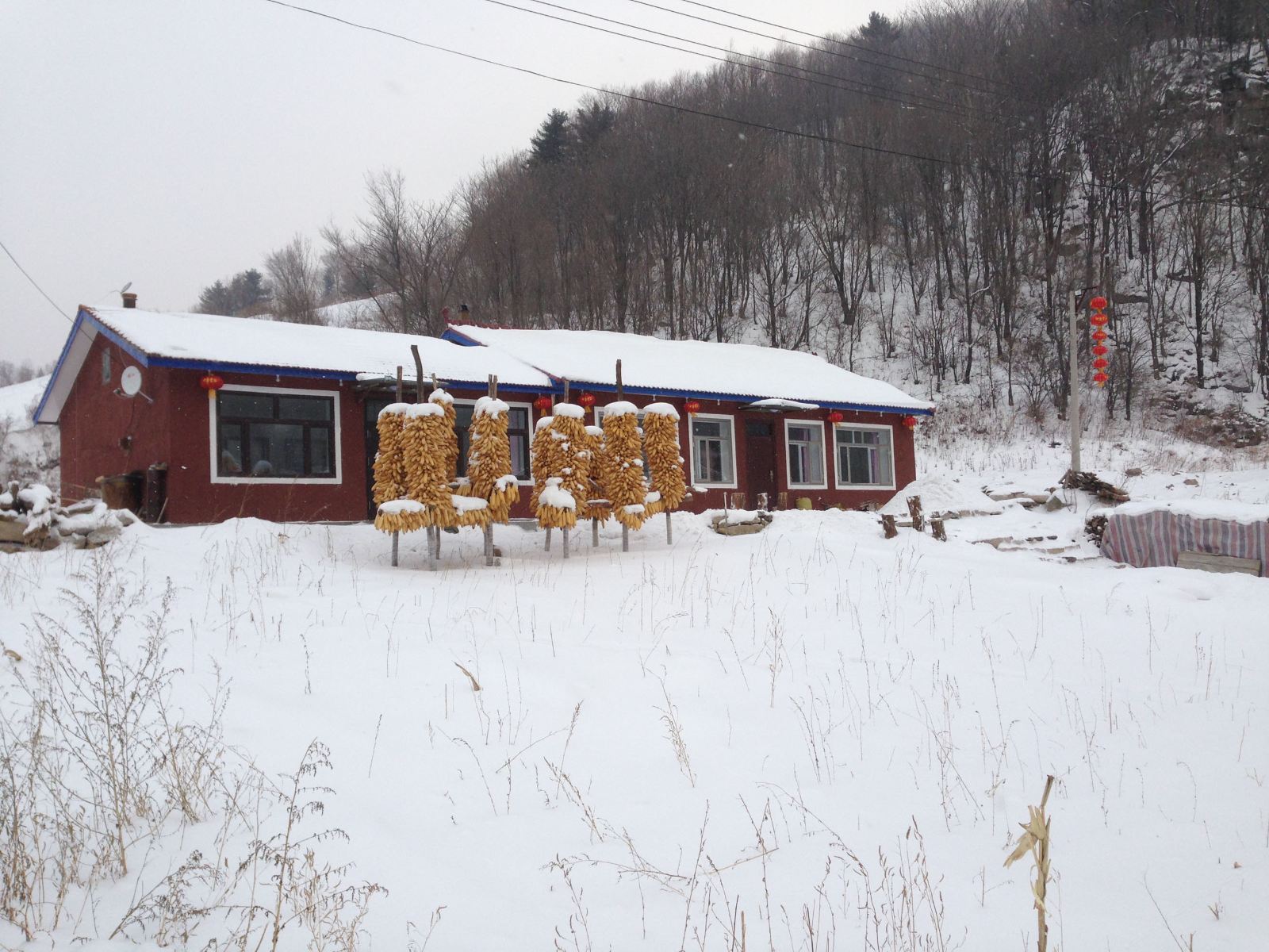 五常雪谷陈维义客栈