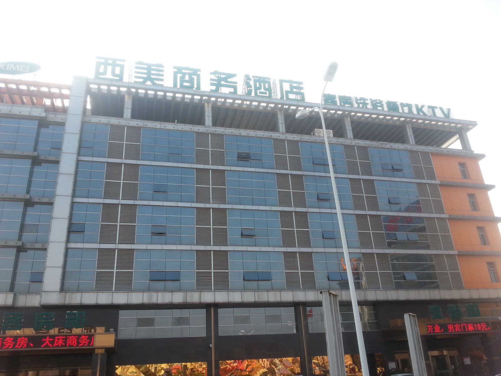 外观