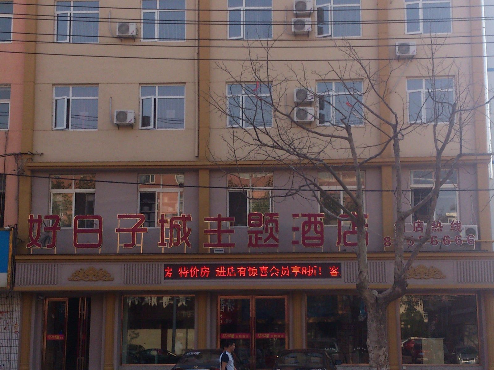 外观