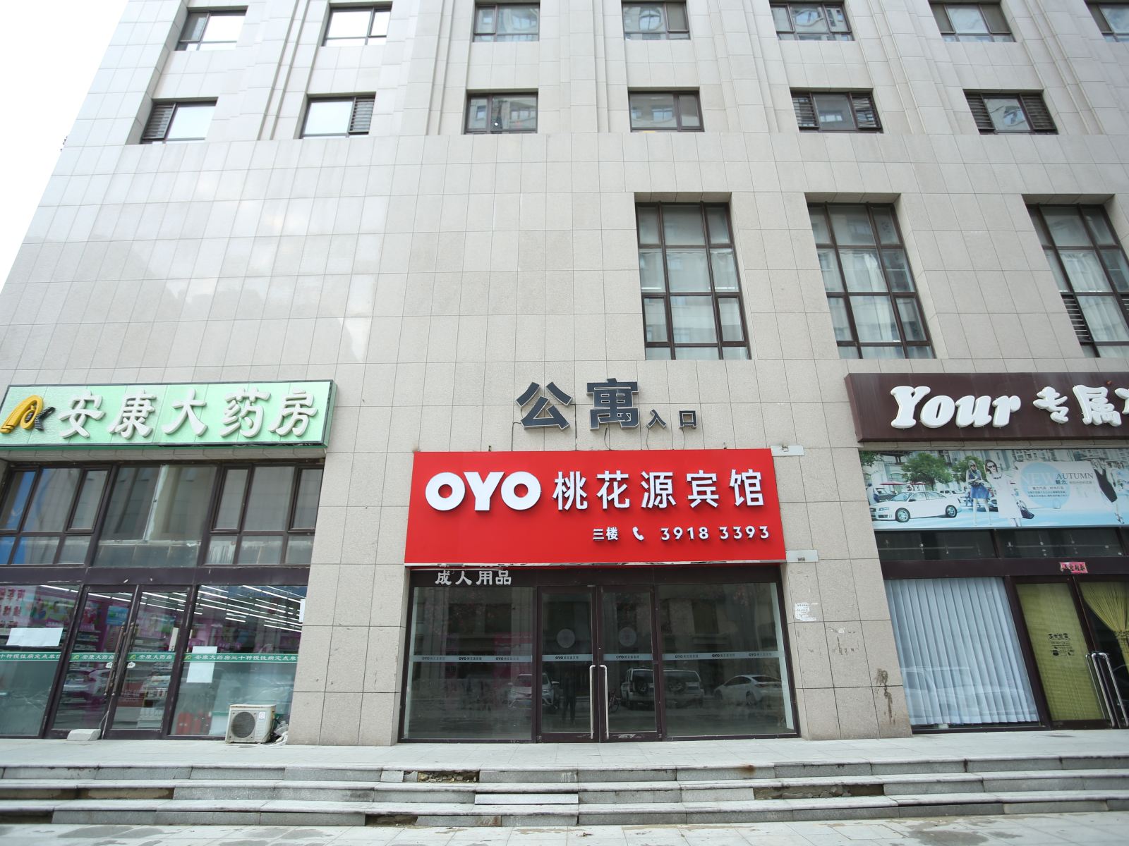 外观
