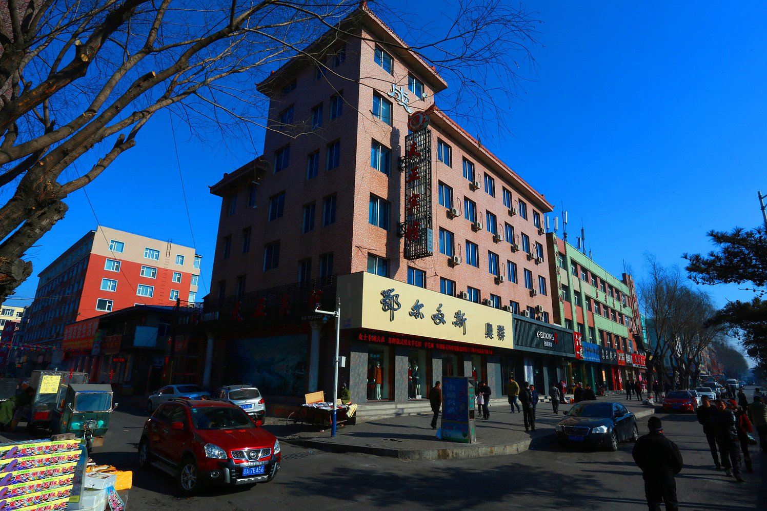 外观