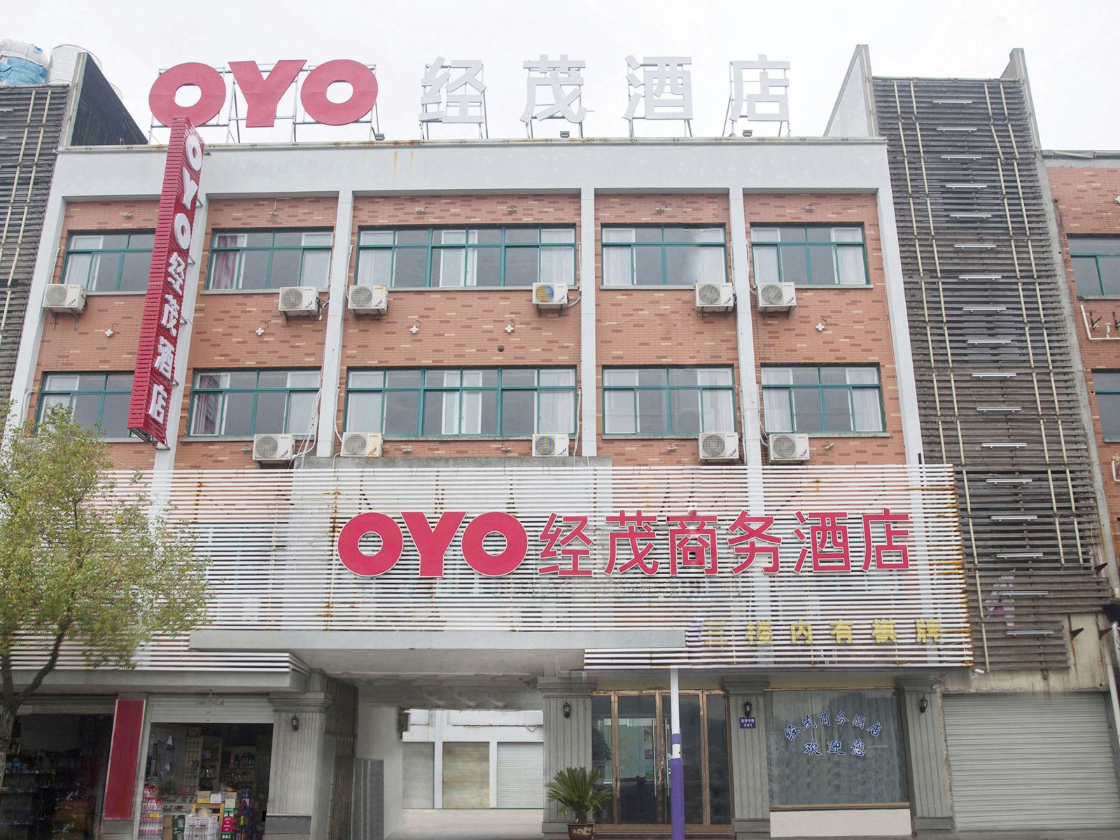 外观