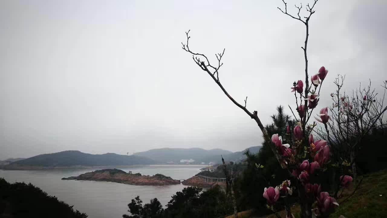 松兰山海墅企业家8号别墅