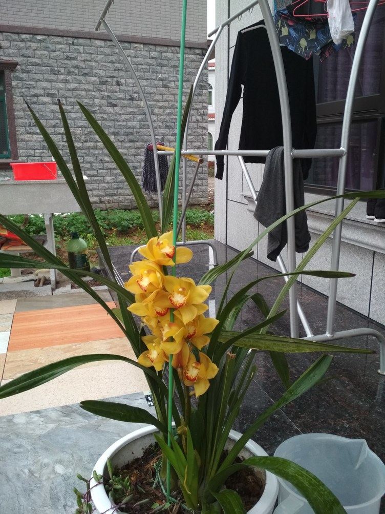 象山熙悦春天客栈