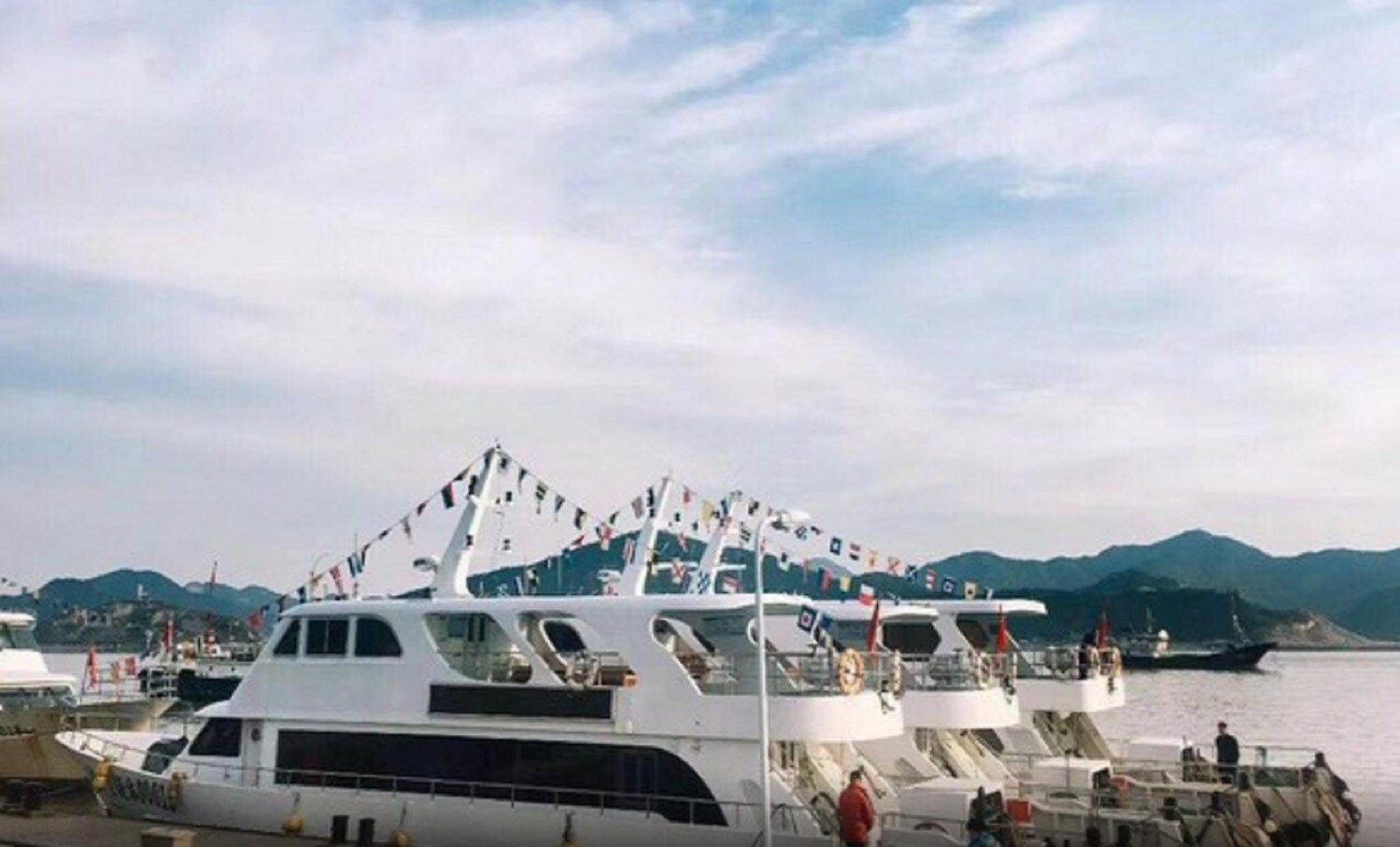 其他