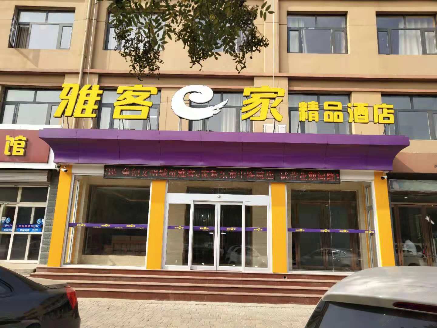 外观