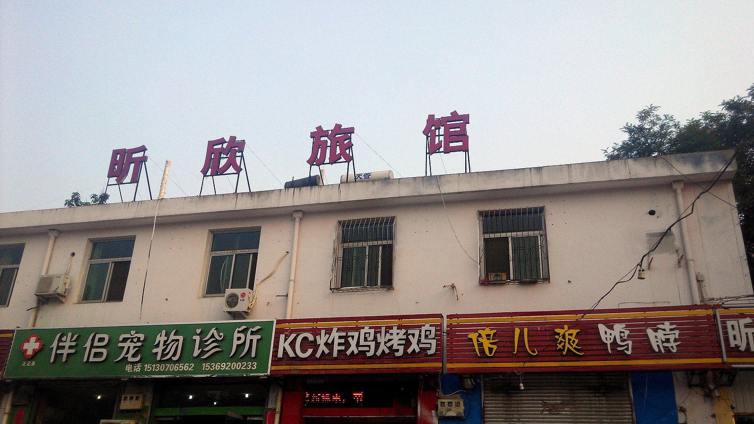 外观
