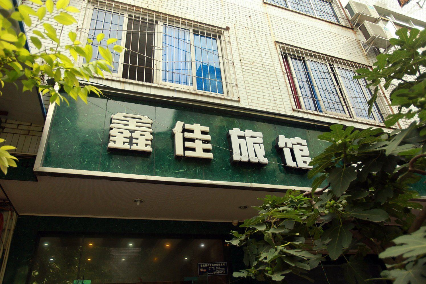 外观