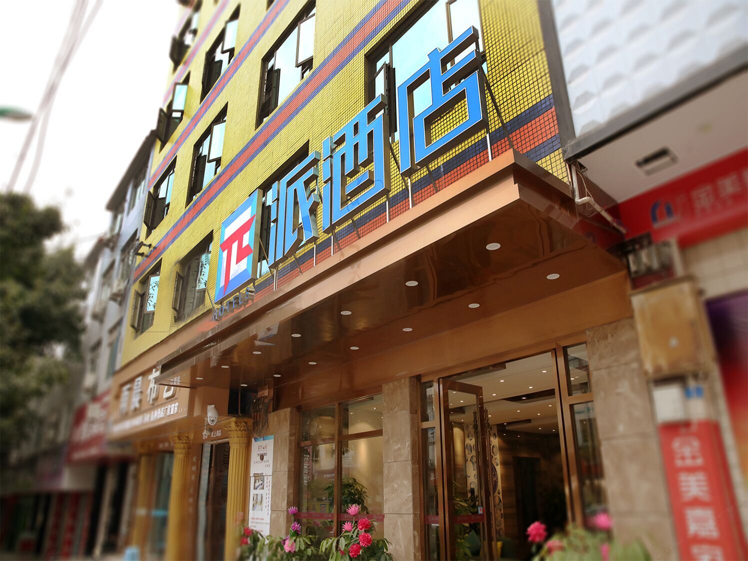 外观