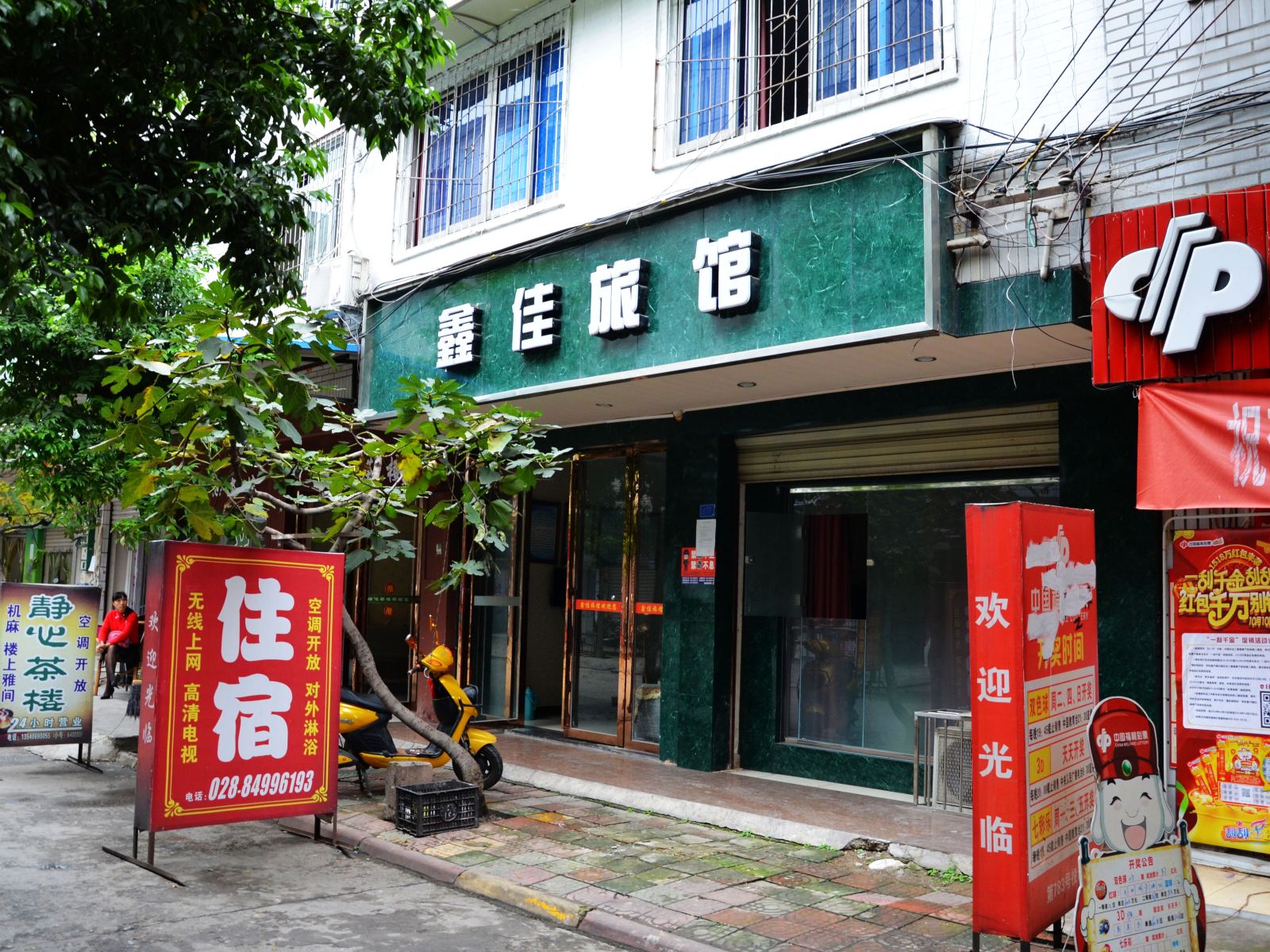 外观