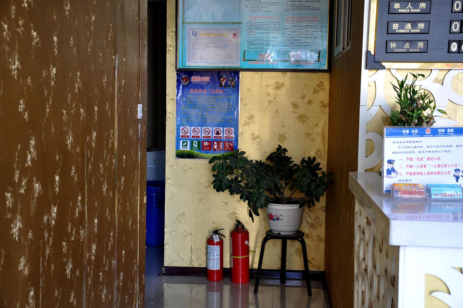 公共区域