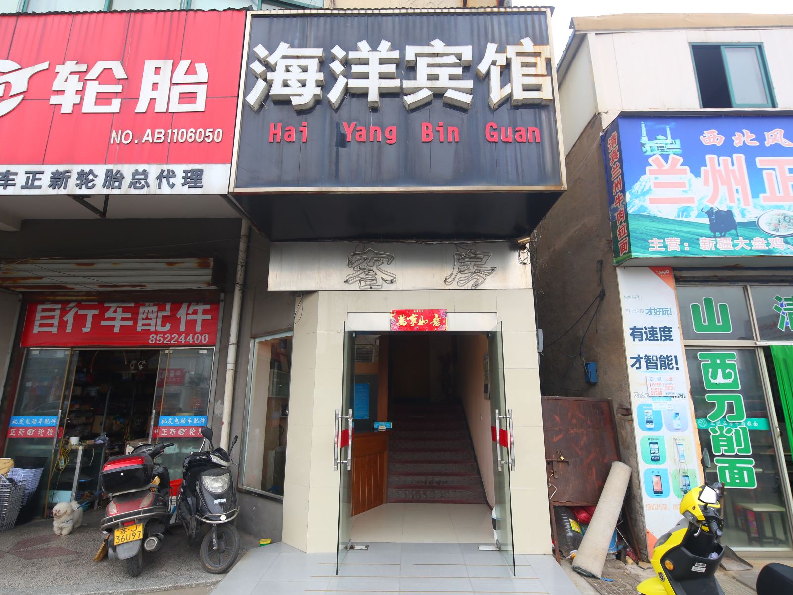 外观