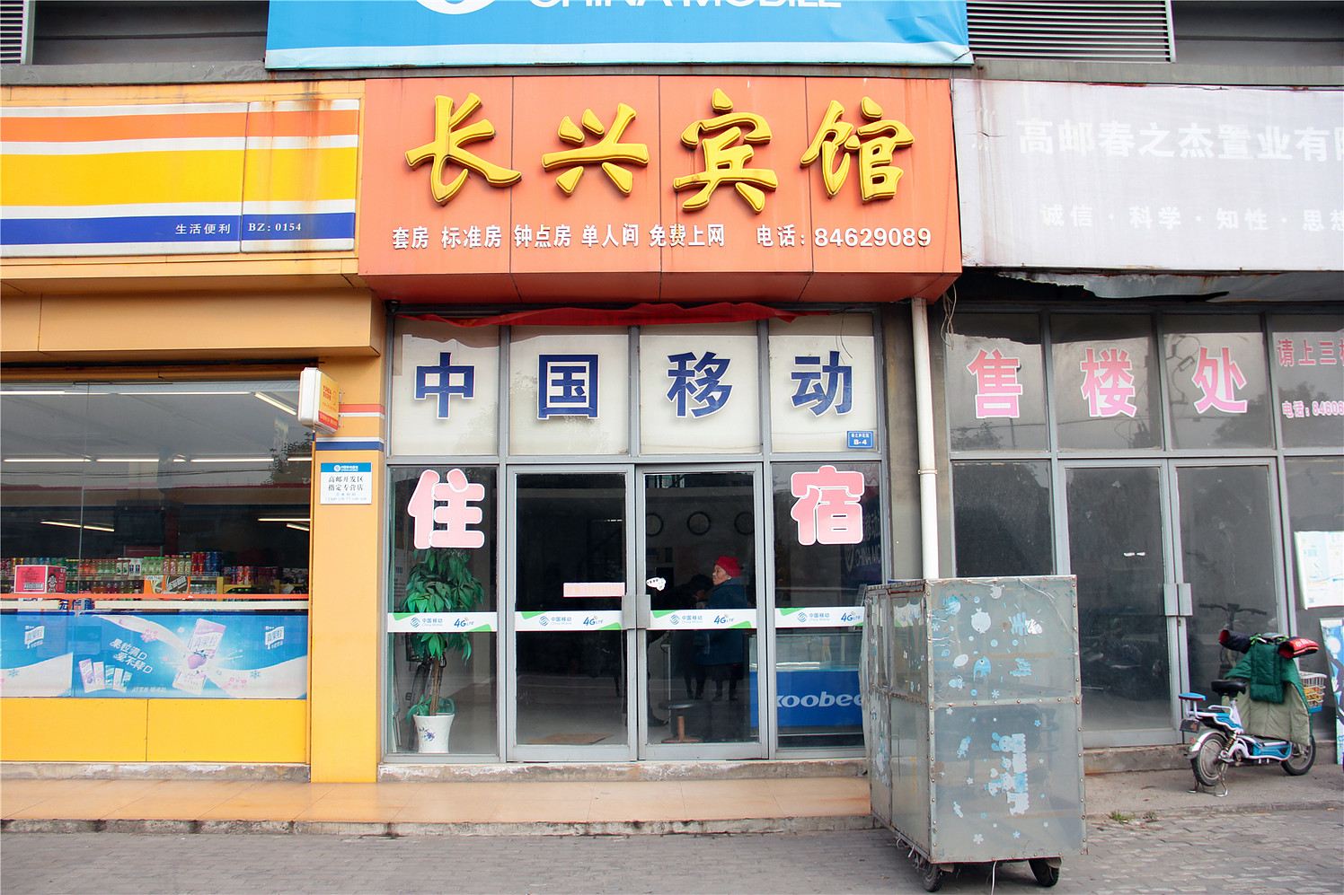 外观