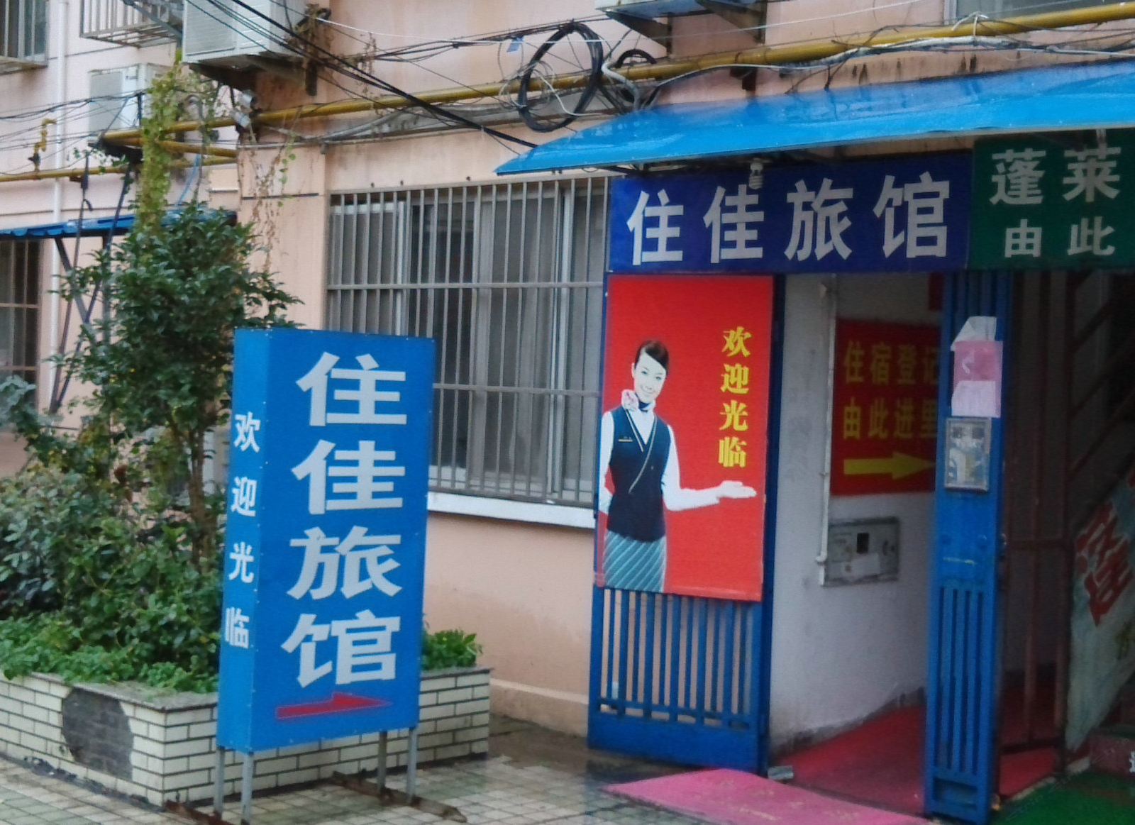 外观