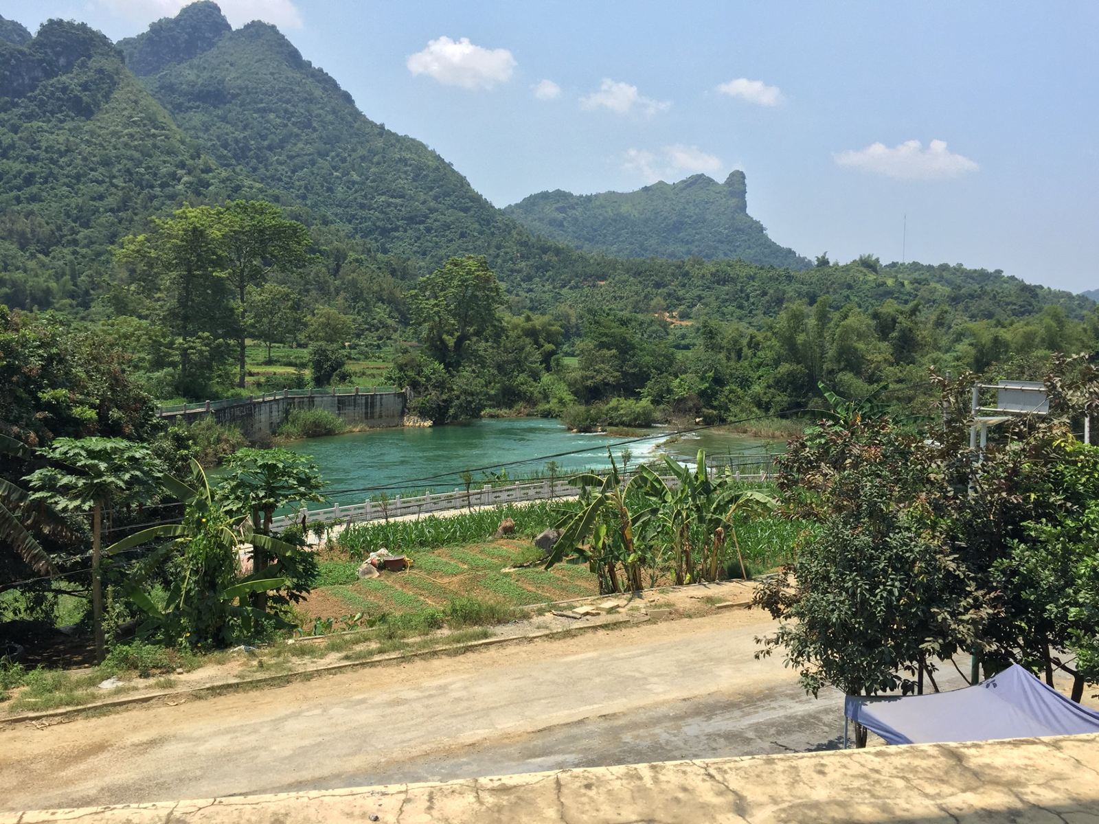 大新乐巢旅馆