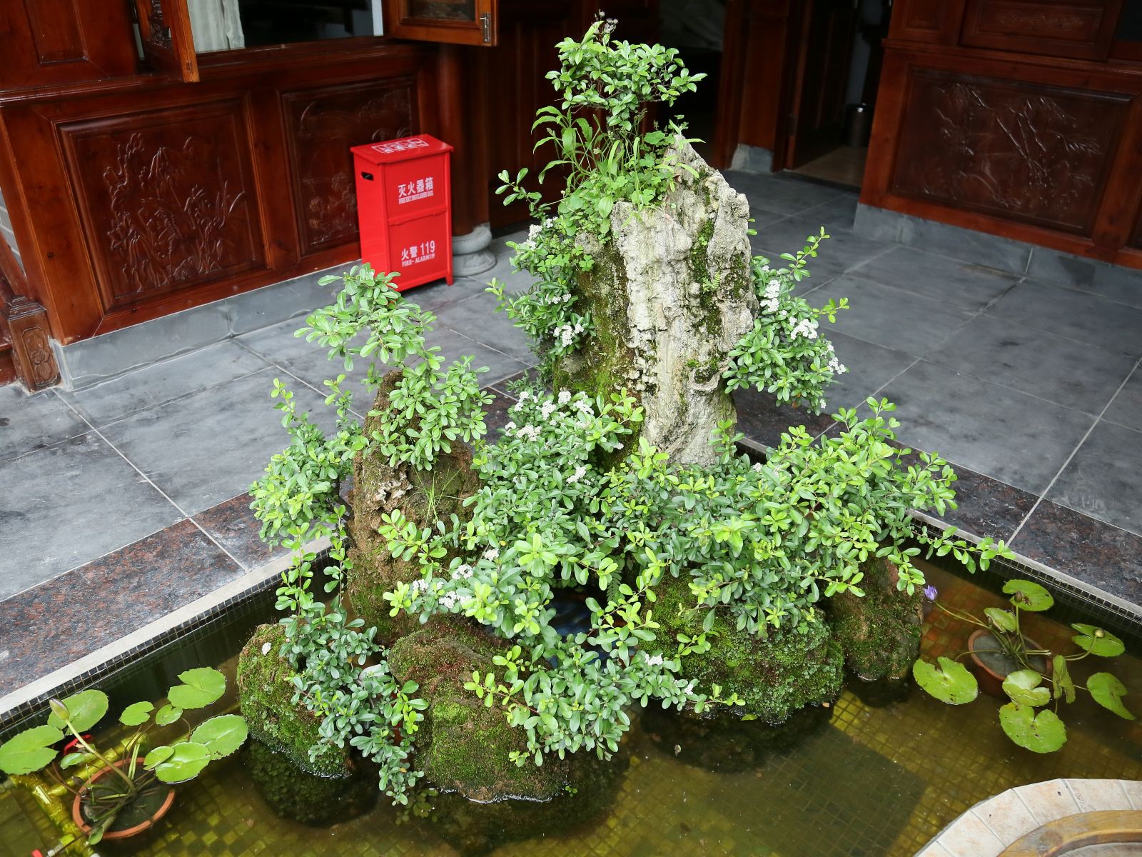 公共区域