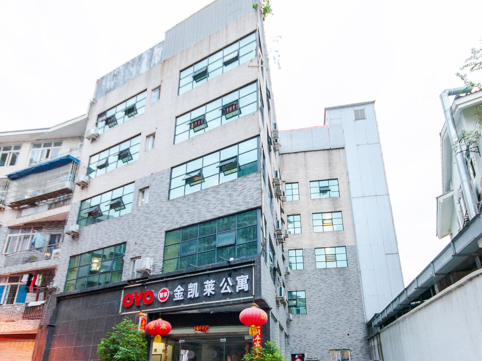 外观
