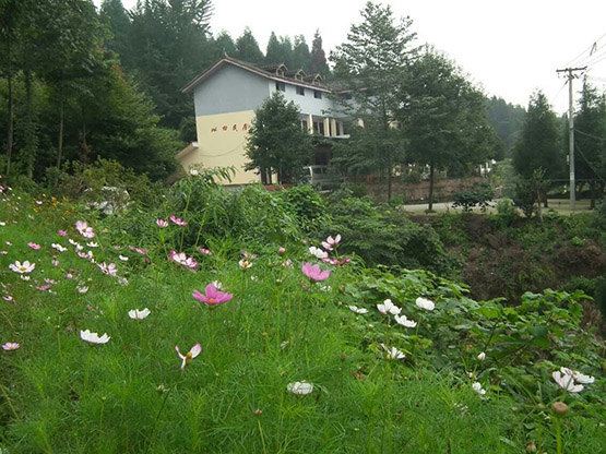 天台山兴田民居