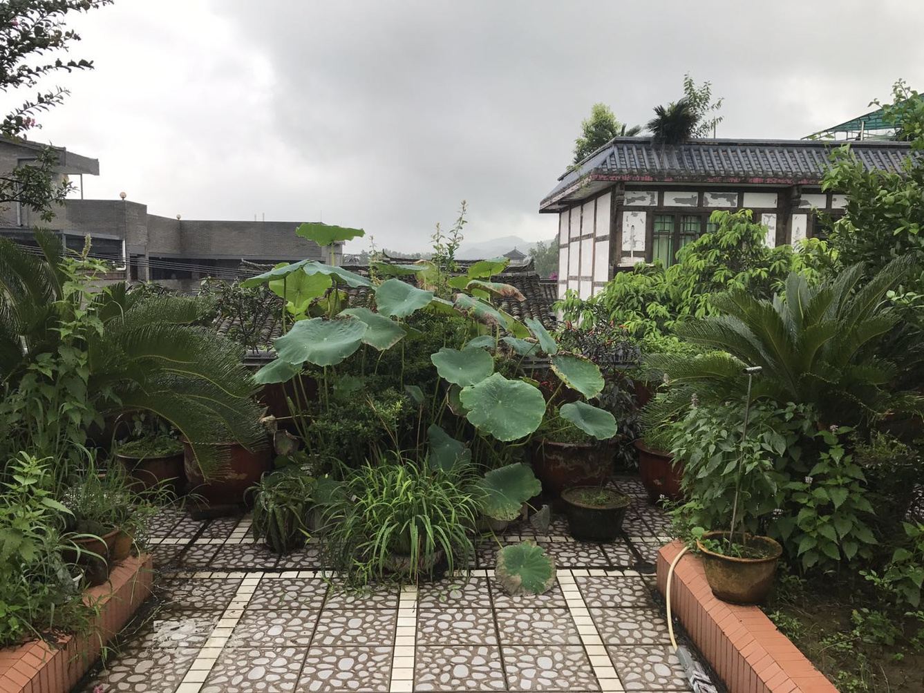 其他