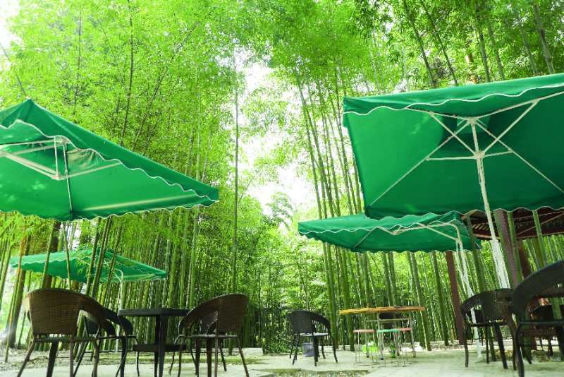 天台山竹韵雅居农家乐
